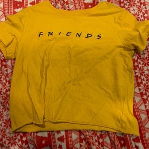 Friends crop top